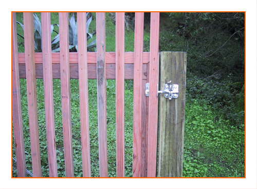Redwood Picket Fence